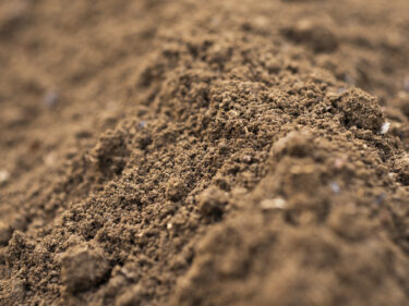 庭を畑にする_part2　粘土質の土壌を耕す。出来るかぎり無肥料無農薬の畑をめざして。